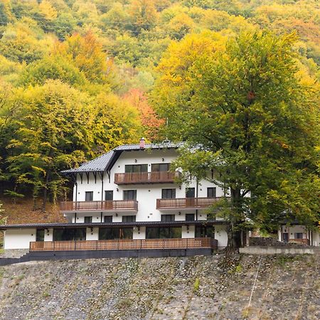 Poiana Mucenicului Hotell Arefu Eksteriør bilde