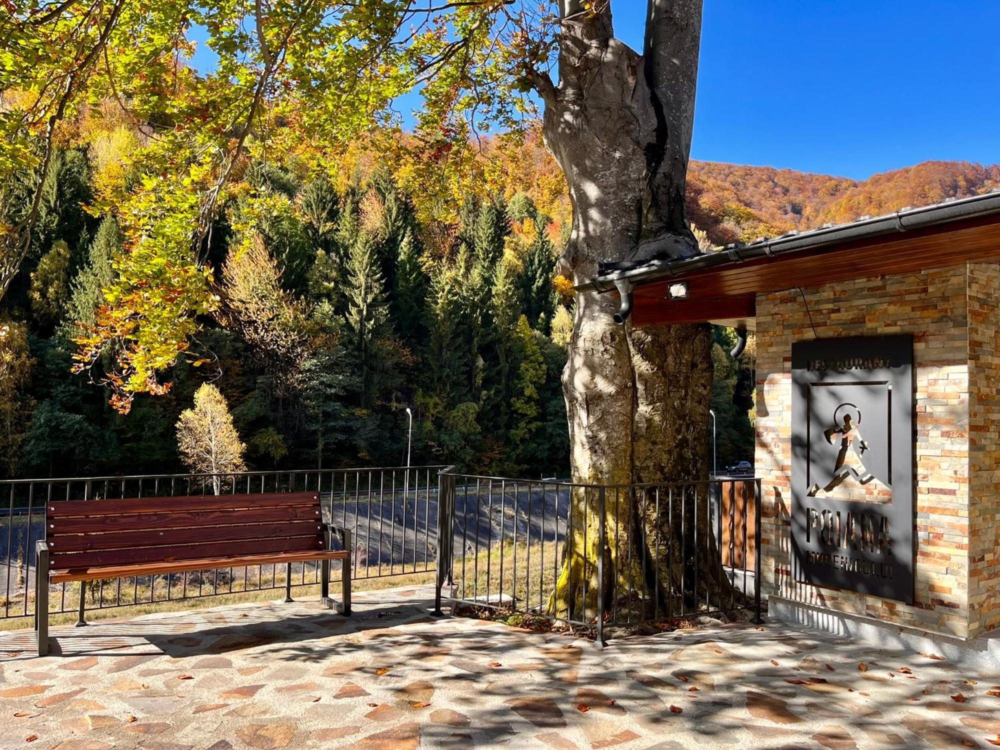 Poiana Mucenicului Hotell Arefu Eksteriør bilde